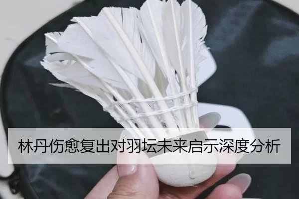 林丹伤愈复出对羽坛未来启示深度分析