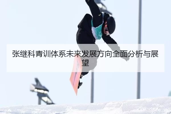 张继科青训体系未来发展方向全面分析与展望